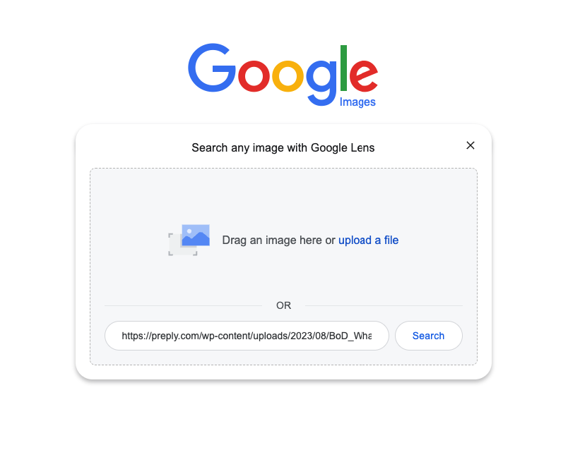 google image search